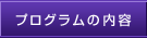 プログラムの内容