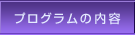 プログラムの内容