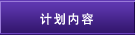 计划内容