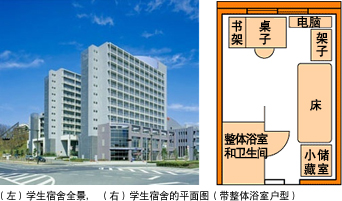 (左)学生宿舍全景,(右)学生宿舍的平面图(带整体浴室户型)