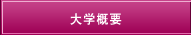 大学概要