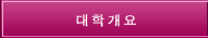 대학 개요 
