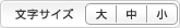 文字サイズ