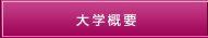 大学概要