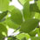 �I�[�v���L�����p�X�J��5/20�����q,5/27���c