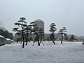 四季の写真　冬 -雪- [3]