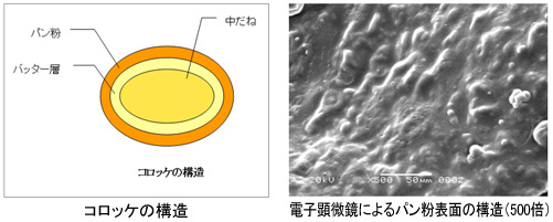 コロッケの構造・電子顕微鏡によるパン粉表面の構造（500倍）