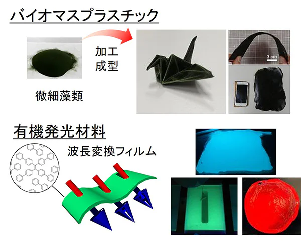 iritani_lab