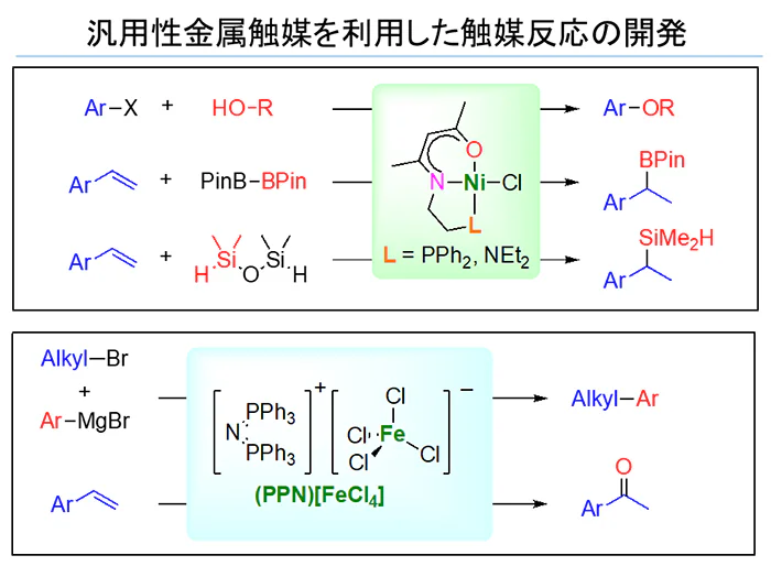 hashimoto_lab