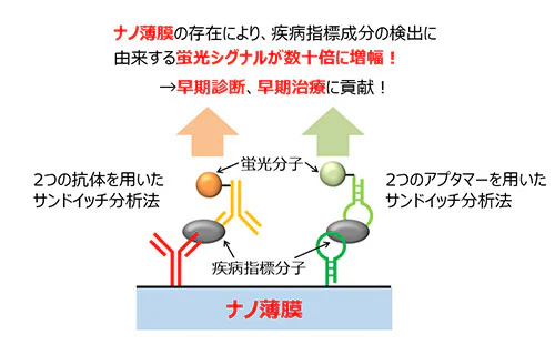 yano_zu