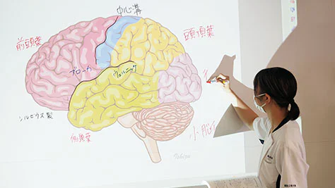 脳の仕組み_授業