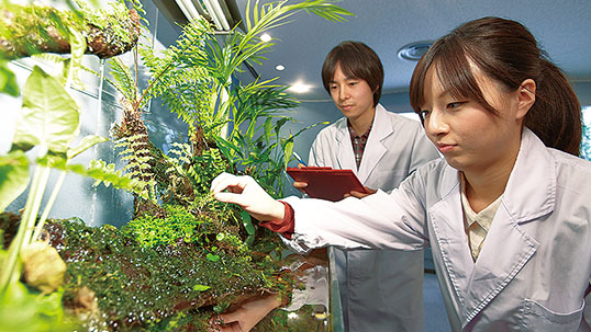地球環境実験