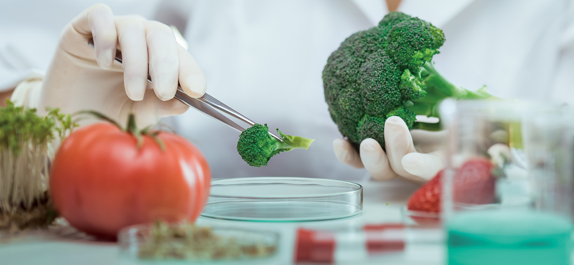 応用生物_FV2