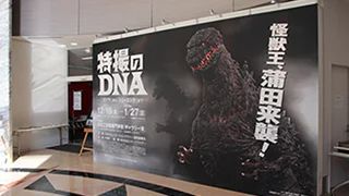 ギャラリー