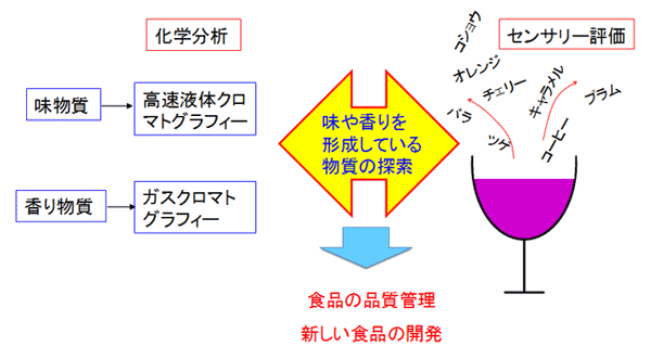 実験結果の解析