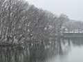 四季の写真　冬 -雪- [1]