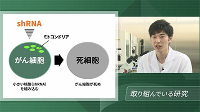 がん細胞を細胞死に誘導する核酸医薬品の開発