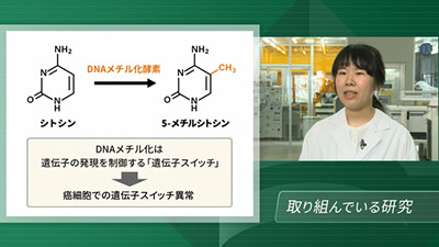 「バイオ医薬品」学生研究紹介03