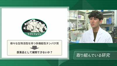 がん細胞に対する抗腫瘍効果について研究