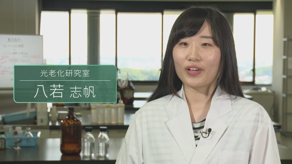 オリーブを使った美白の研究