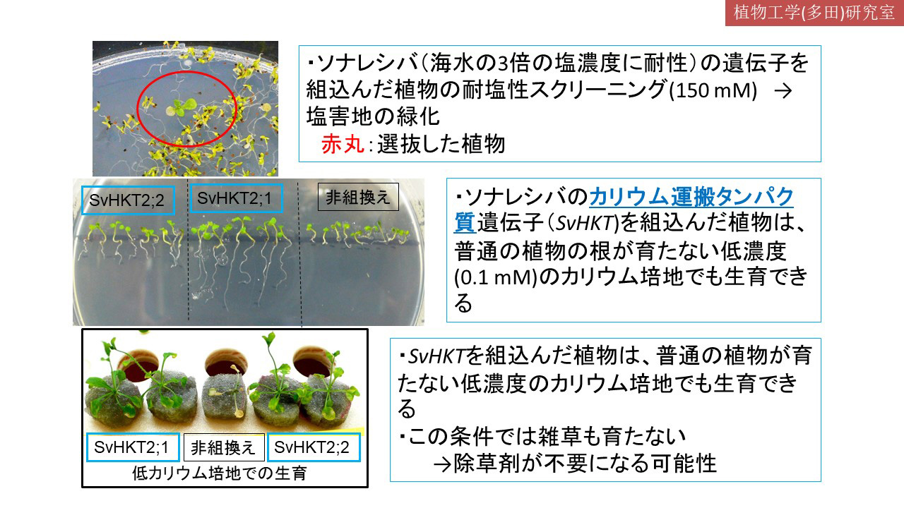 あしたの地球をデザインする | 応用生物学部 | 東京工科大学