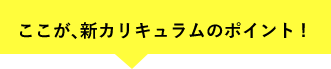 ここが、新カリキュラムのポイント!