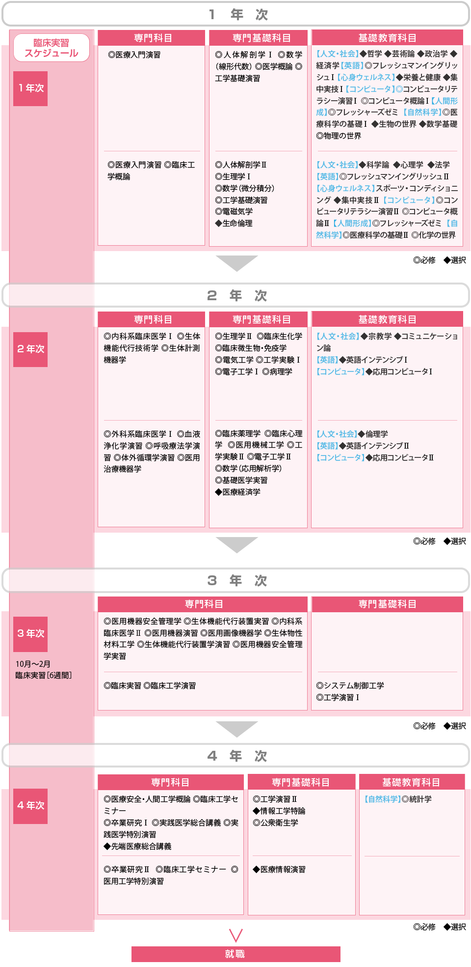 カリキュラム 学びの流れ 臨床工学科 医療保健学部 東京工科大学
