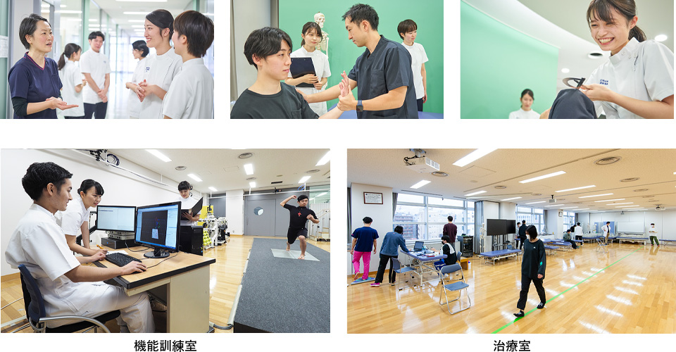 理学療法学専攻 イメージ