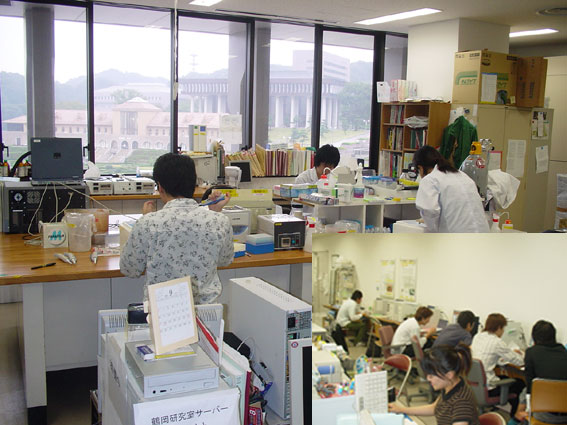 情報と磁気・DNA研究室（鶴岡研究室）