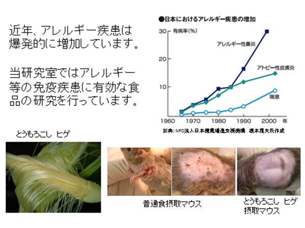 免疫食品機能学（今井伸二郎）研究室