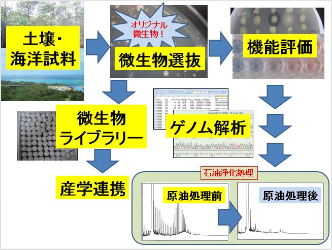 バイオプロセス工学（松井徹）研究室