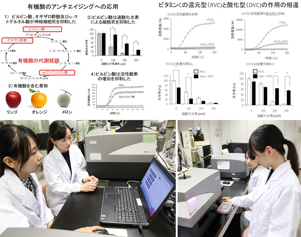 アンチエイジングフード（佐藤拓己）研究室