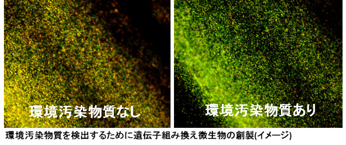 バイオセンサー（秋元卓央）研究室