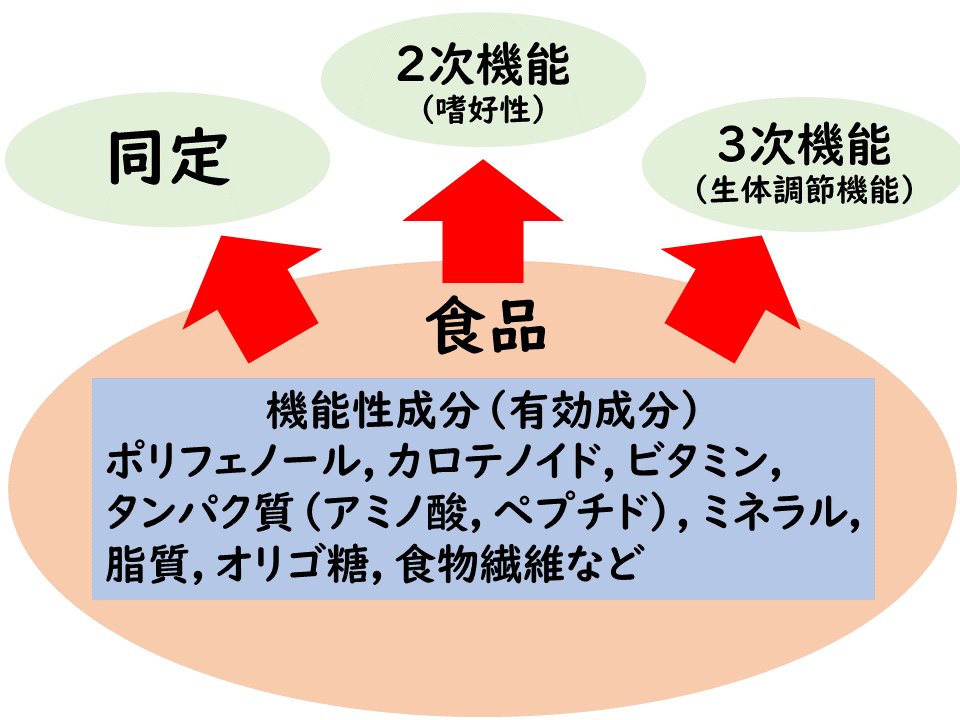 フードファンクション（安川然太）研究室