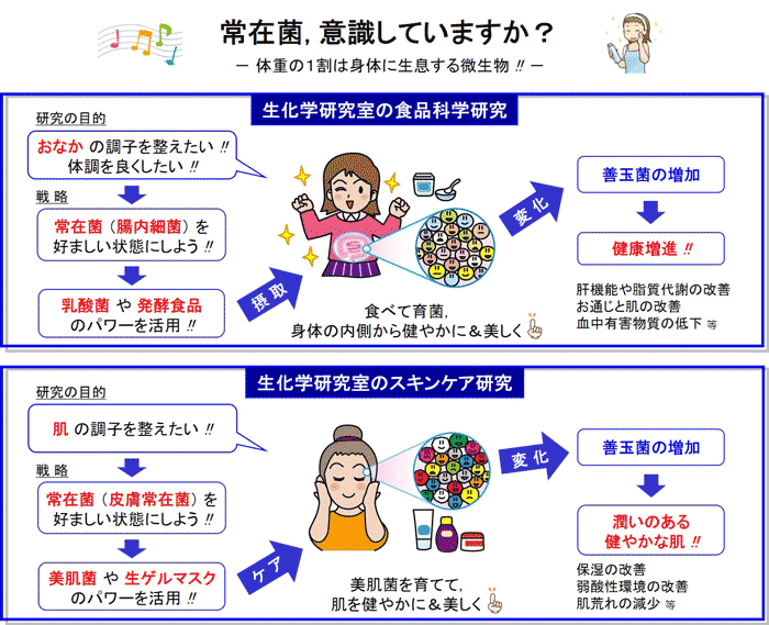 生化学（野嶽勇一）研究室