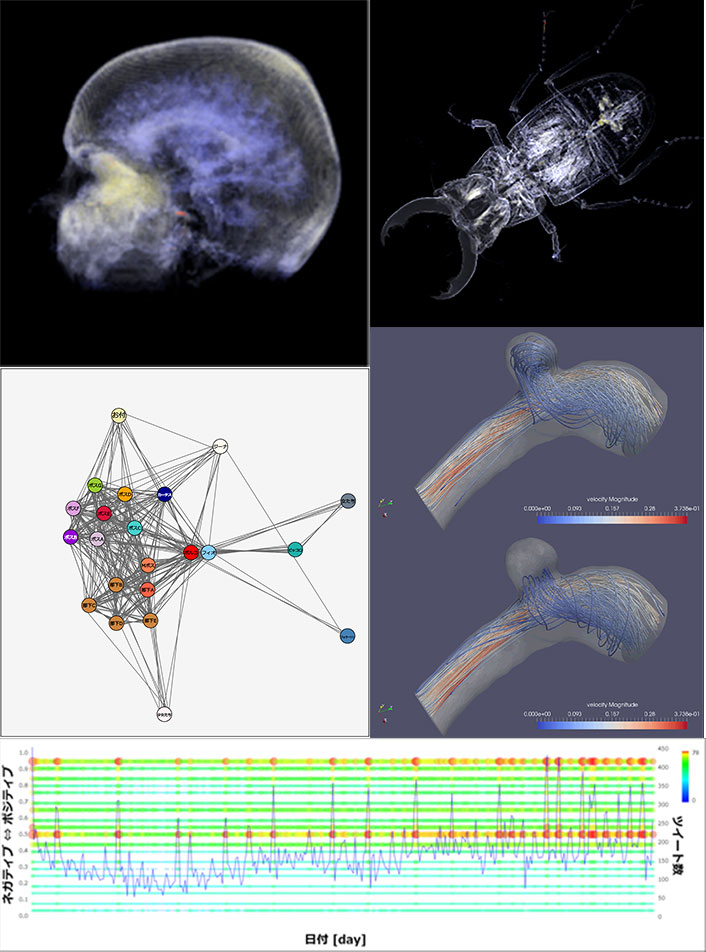 コンピュータビジュアリゼーション（竹島・戀津研究室）