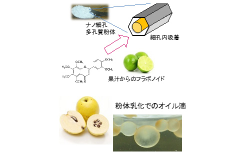 化粧品材料化学（柴田雅史・伊澤千尋）研究室