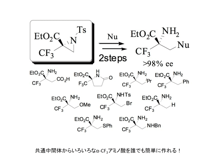 有機分子設計学（片桐）研究室