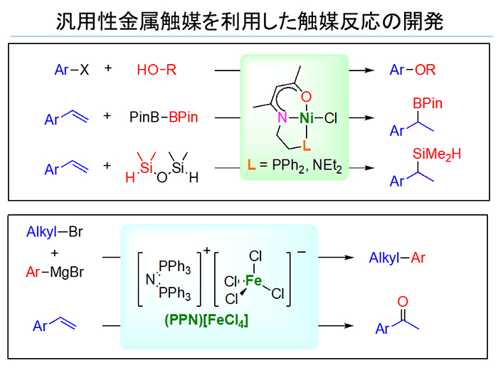 分子触媒化学（橋本）研究室