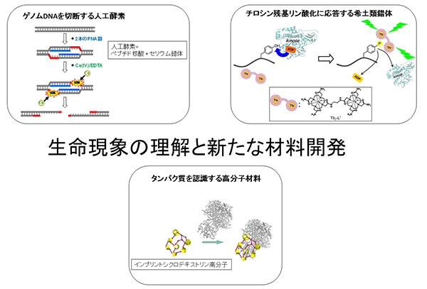 生物化学（須磨岡）研究室