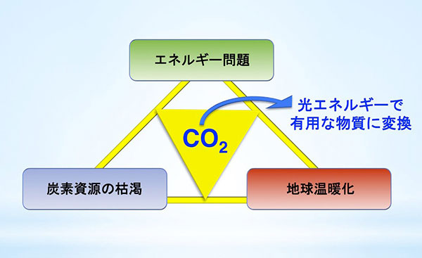 光機能性錯体化学（森本）研究室