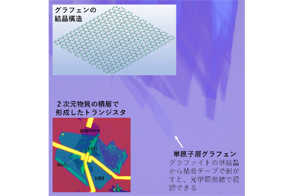 先端電子デバイス（中払）研究室