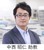 応用生物学部 中西 昭仁 助教 応用生物学部 中西 昭仁 助教