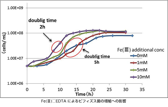 Fe(Ⅲ)□EDTA によるビフィズス菌の増殖への影響