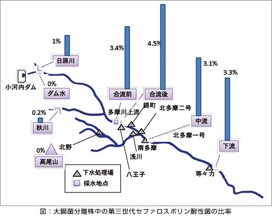 大腸菌分離株中の第三世代セファロスポリン耐性菌の比率