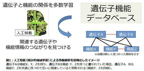 人工知能(統計的機械学習)による情報解析を簡略化したイメージ