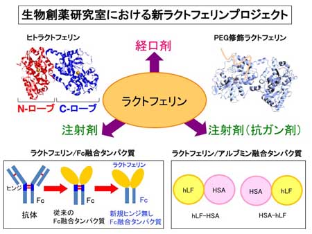 医薬理工の異分野融合研究から見えたナノバイオの未来 X-Knowledge | 医薬理工の異分野融合研究から見えたナノバイオの未来