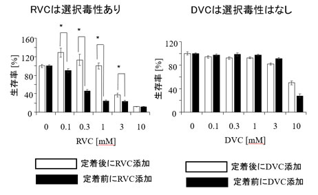 図2：がん細胞に対する？ビタミンCの選択毒性