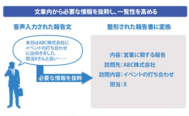 音声入力を整形・報告書化する業務支援AI