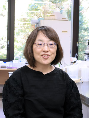 応用生物学部 生命科学・医薬品専攻 医薬品コース 村上優子 教授